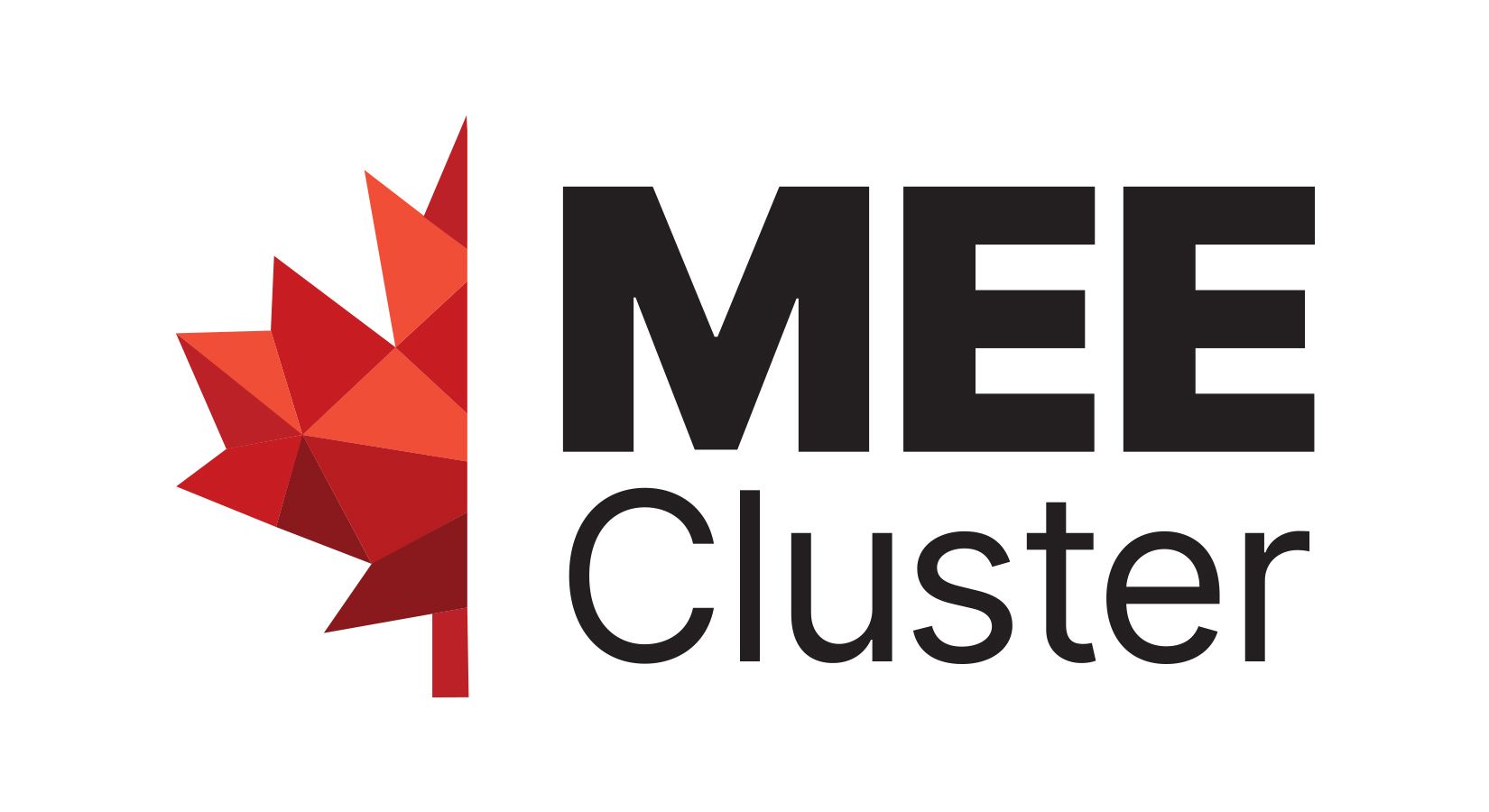 Manufacturing & Export Enhancement (MEE) Cluster